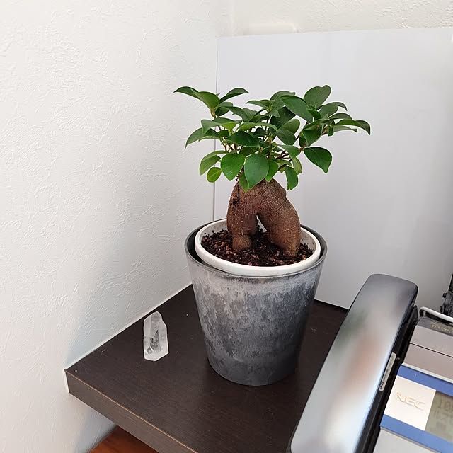 mutsuさんの実例写真