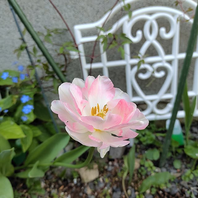 kiraさんの実例写真