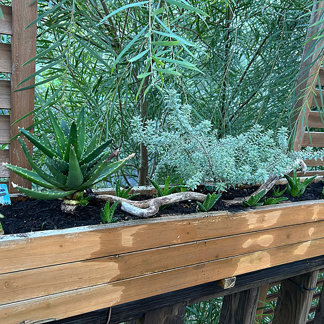 YUNYUMEさんの実例写真