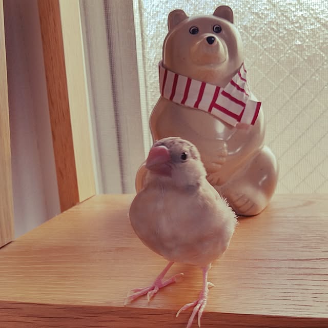 fujifujiさんの実例写真
