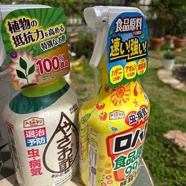 madeleineさんの実例写真