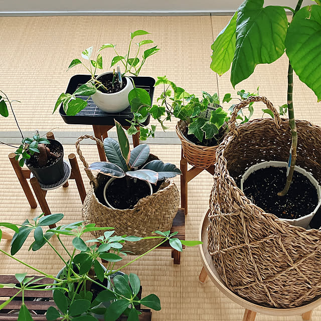Hicchomuさんの部屋