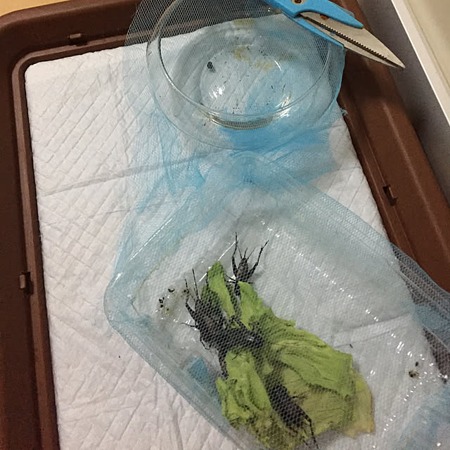 emiさんの実例写真