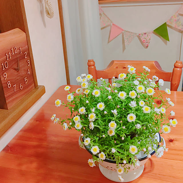 yukatakoさんの実例写真