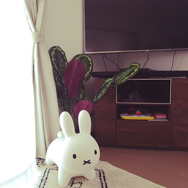 sunriseさんの実例写真