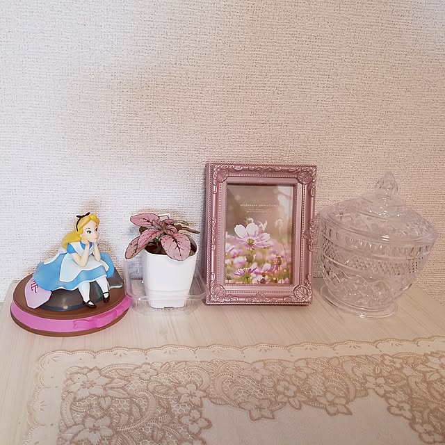 Ayaさんの実例写真