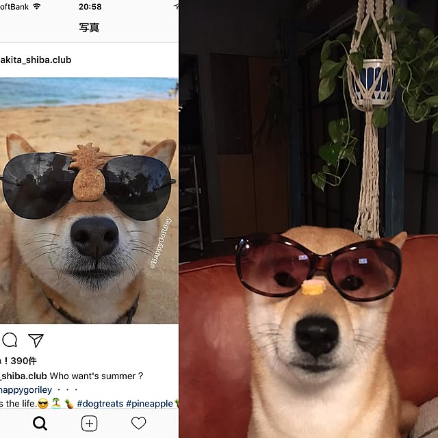 diez_taraさんの実例写真