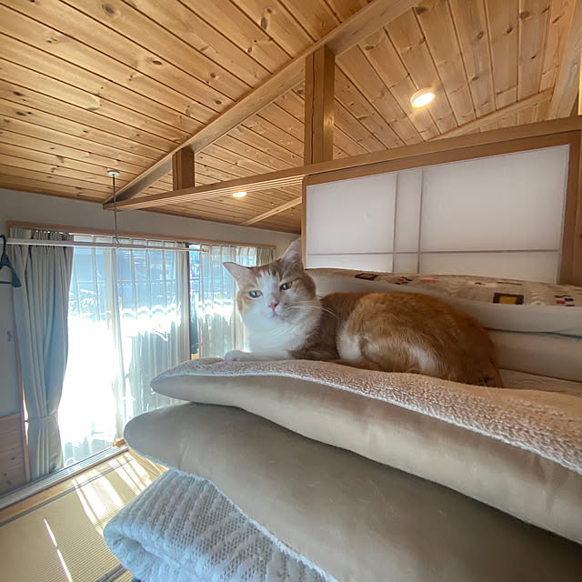 senbei.sakuramochiさんの実例写真