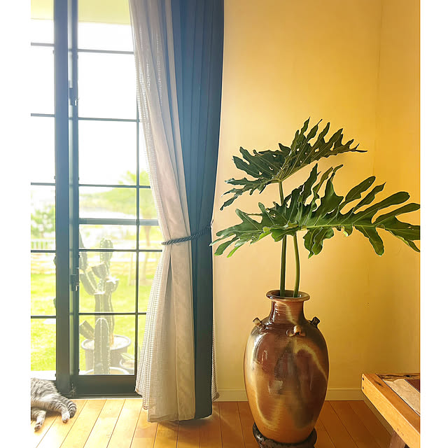 syungikuさんの実例写真