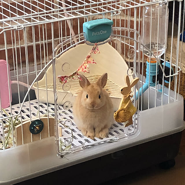 pikarunさんの実例写真