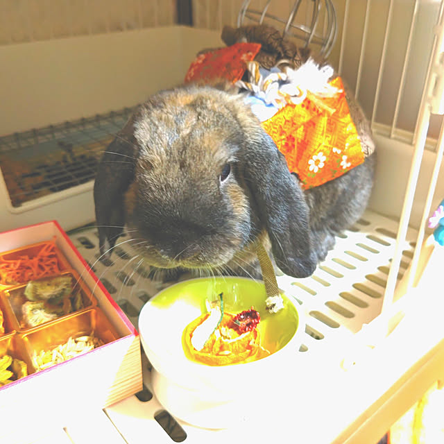 mariaさんの実例写真