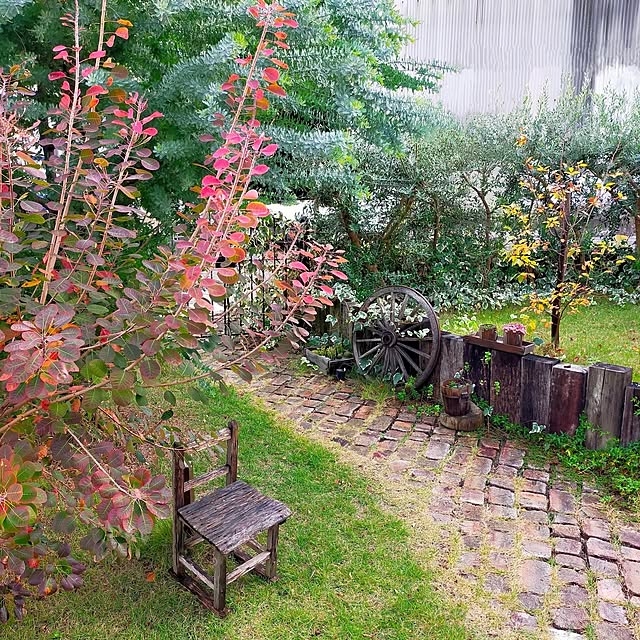 petitesplumesさんの実例写真
