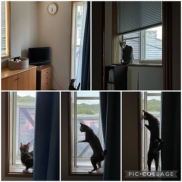 nobikoさんの実例写真