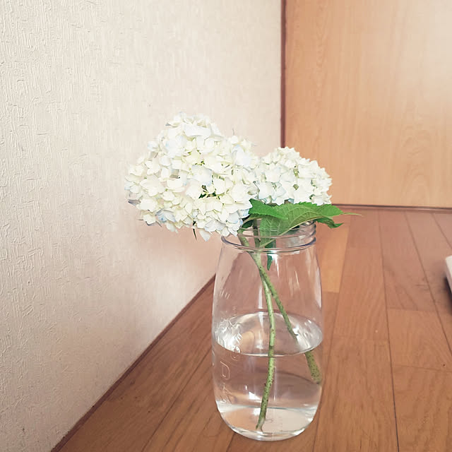 Abbyさんの実例写真