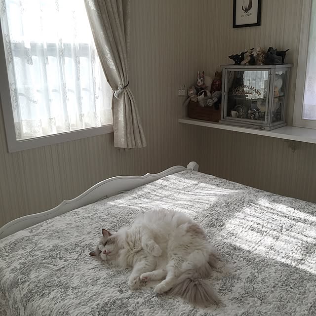 yuchiさんの実例写真