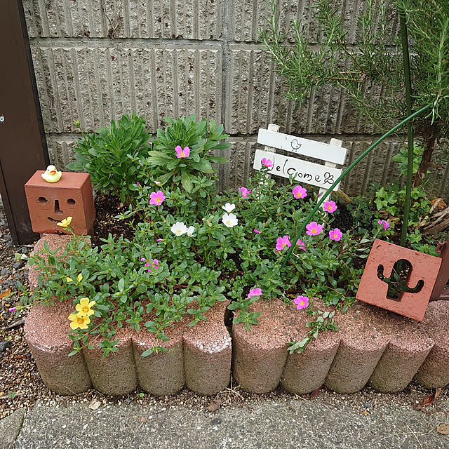 fukuさんの実例写真