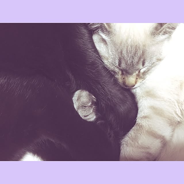 KATE666さんの実例写真