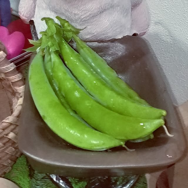 mocomocoさんの部屋