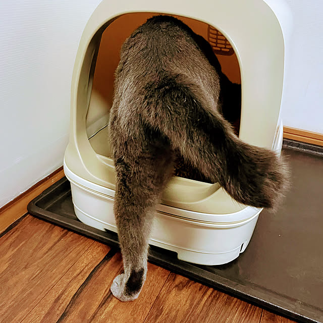kikurinさんの実例写真