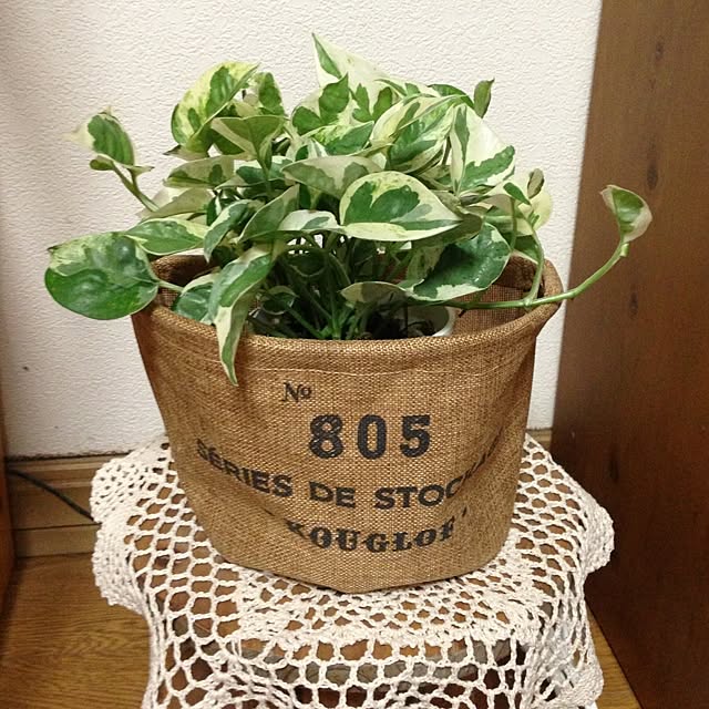a-nyaさんの実例写真