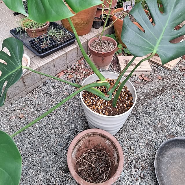 midoriさんの部屋