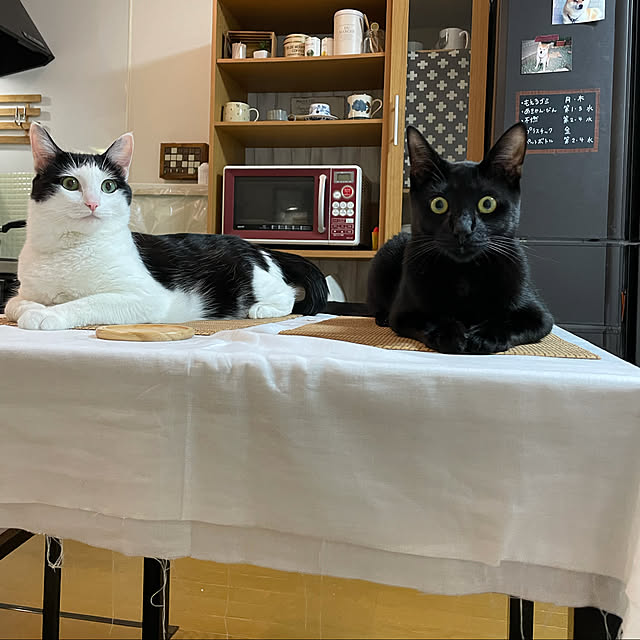 harukaさんの実例写真