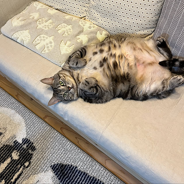heidiさんの実例写真