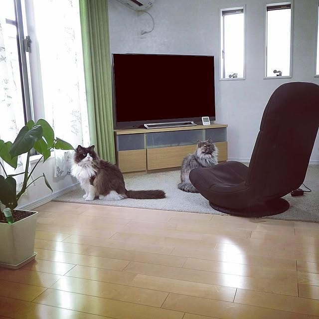 hiroshiさんの実例写真