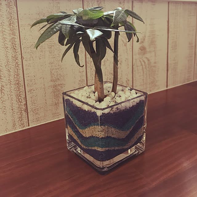 tkさんの実例写真