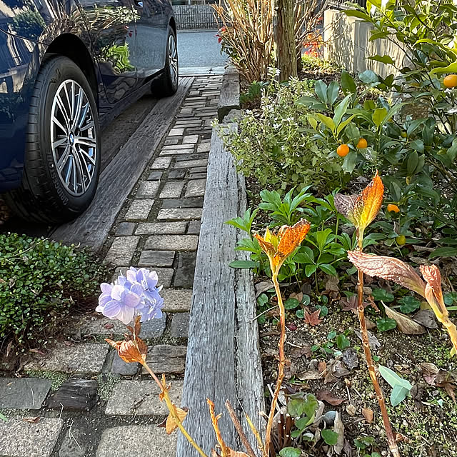 nobikoさんの部屋