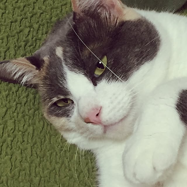 yumasukeさんの実例写真