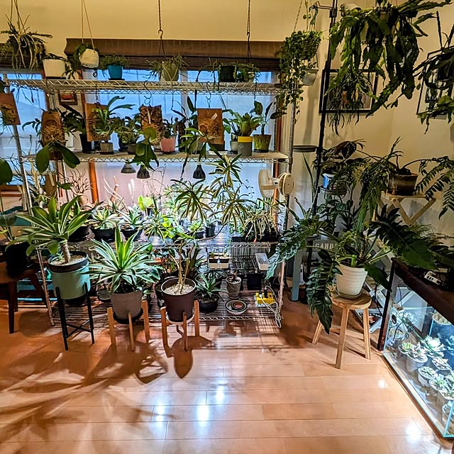 ot-gardenさんの実例写真