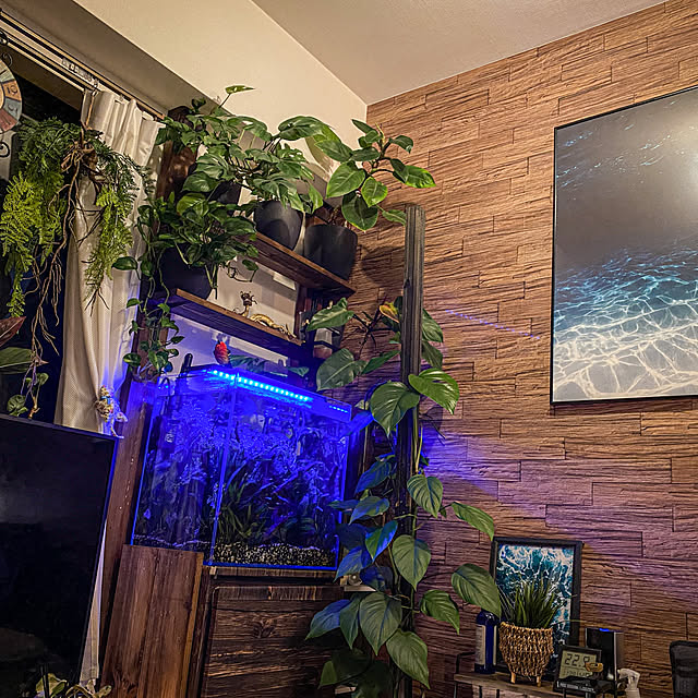 efpi_Interior_posterさんの実例写真