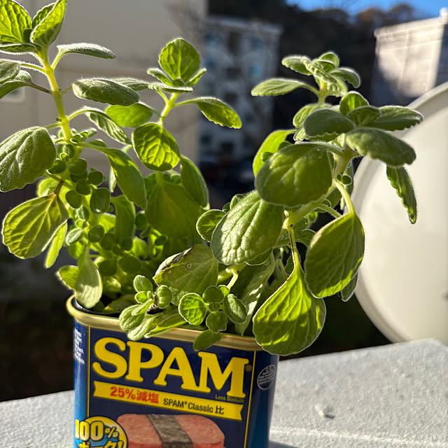 syutmmさんの部屋