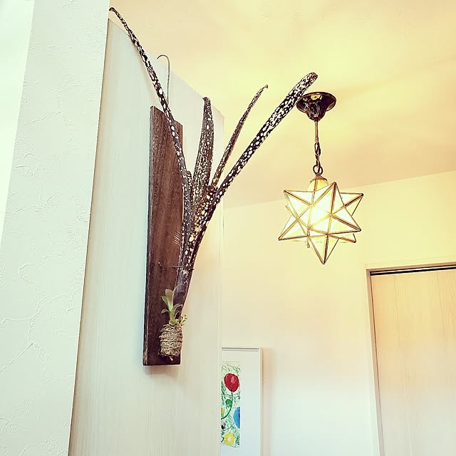 rimoleoさんの部屋