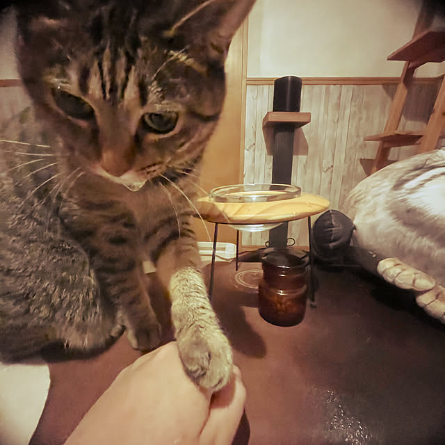 Mさんの実例写真