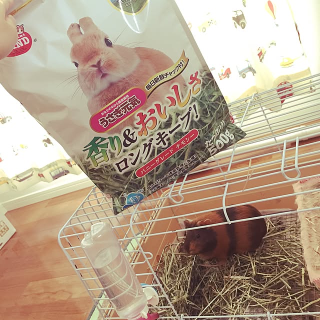 Mi-Koさんの実例写真