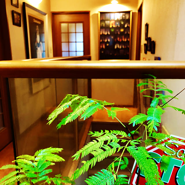 Taka_blueさんの実例写真