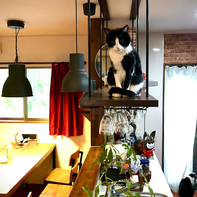 butachanさんの実例写真