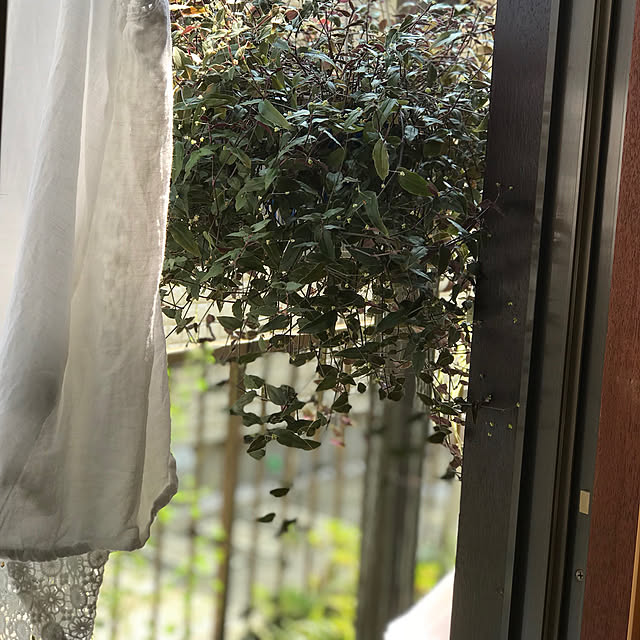 masakoさんの実例写真