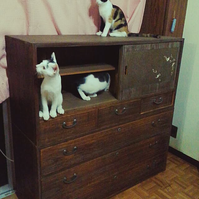 yamadaさんの実例写真