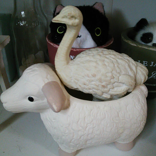 Tomopさんの実例写真