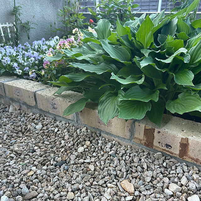 banbinaさんの部屋