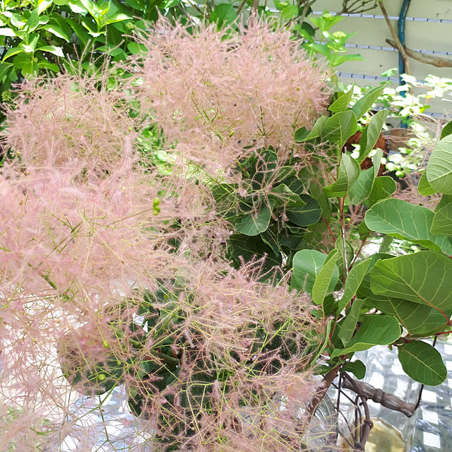 min_nimさんの実例写真