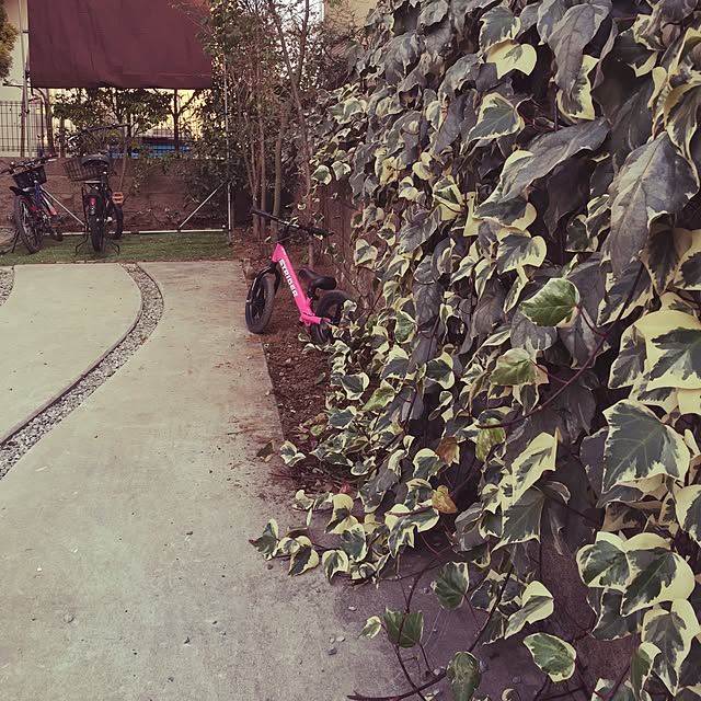 Kochanさんの実例写真