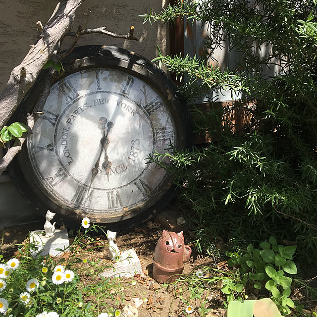 shigimiさんの実例写真