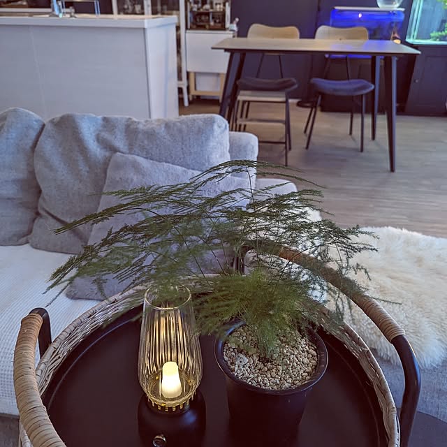 noahさんの部屋
