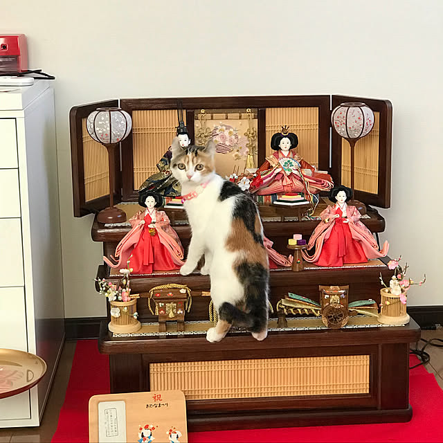RAINBOWさんの実例写真