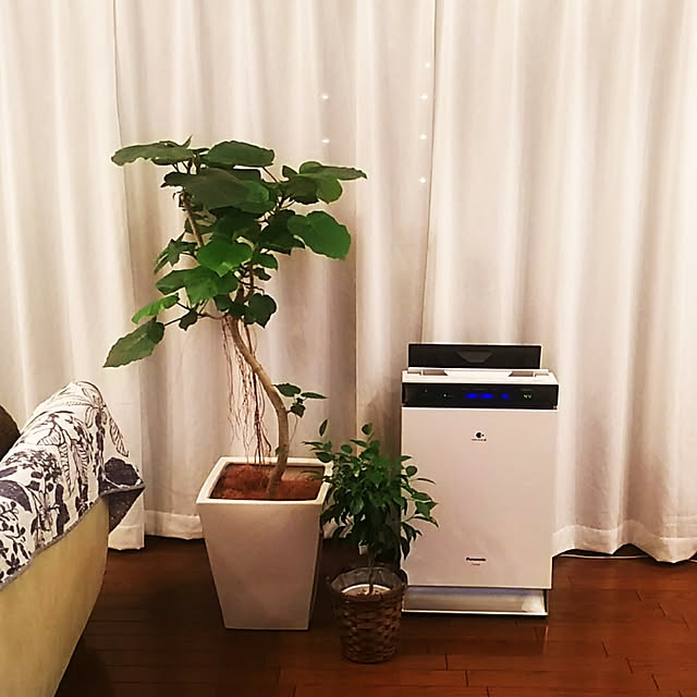 Yoshi55goさんの実例写真