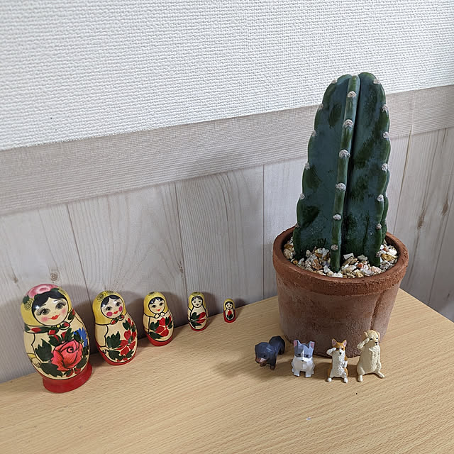 dadaさんの実例写真